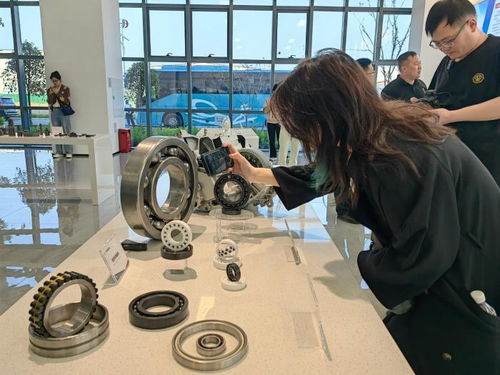 大陸_齊魯網(wǎng)