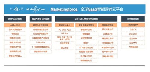 珍島集團躋身工信部中小企業(yè)數(shù)字化賦能服務推薦目錄，引領企業(yè)管理服務新篇章